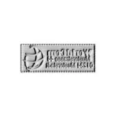 Ersatzplatte Colop Pocket Stamp 20